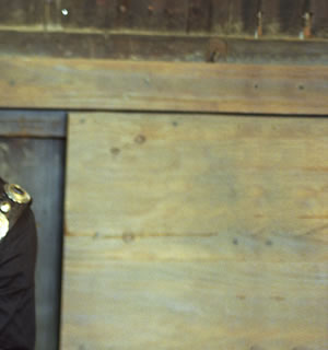 BRUCE SPRINGSTEENiu[XEXvOXeB[j